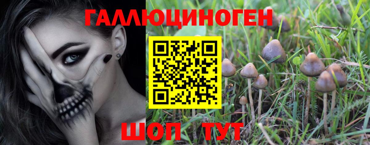 Ликино-Дулёво  Галлюциногенные грибы мухоморы  Вход с VPN 
