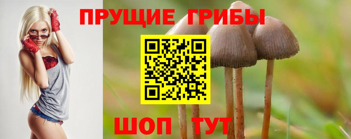 Галлюциногенные грибы мухоморы Ликино-Дулёво